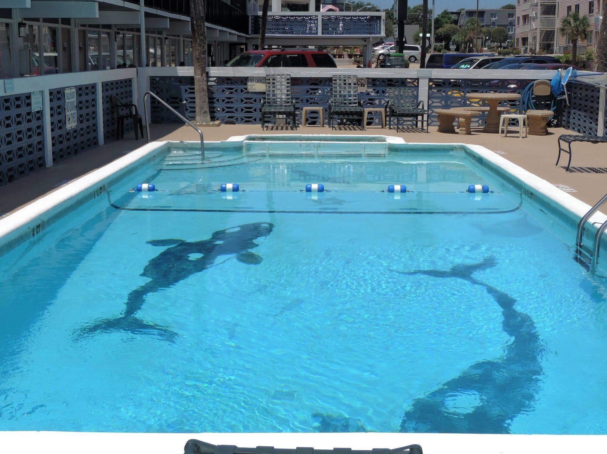 Sea Hawk Oceanfront Motel Myrtle Beach Exterior foto